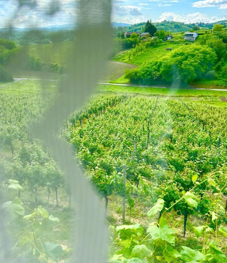 Wine Paradise Sveti Ivan Zelina Exterior photo